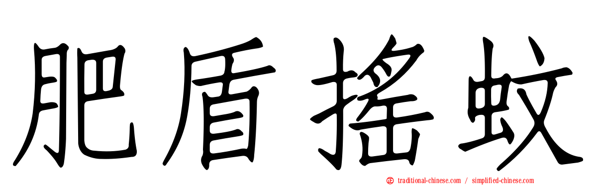 肥盾搖蚊
