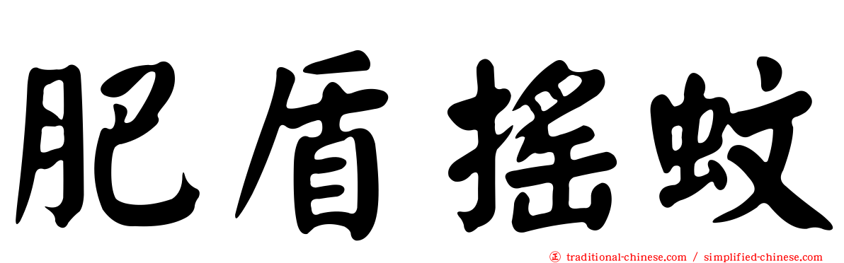 肥盾搖蚊