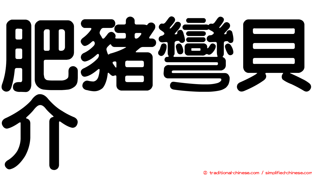 肥豬彎貝介