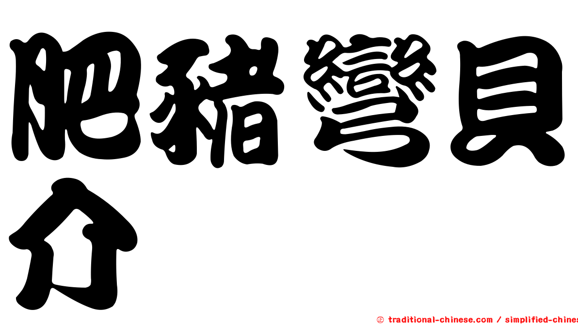 肥豬彎貝介