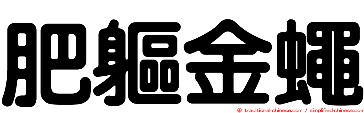 肥軀金蠅