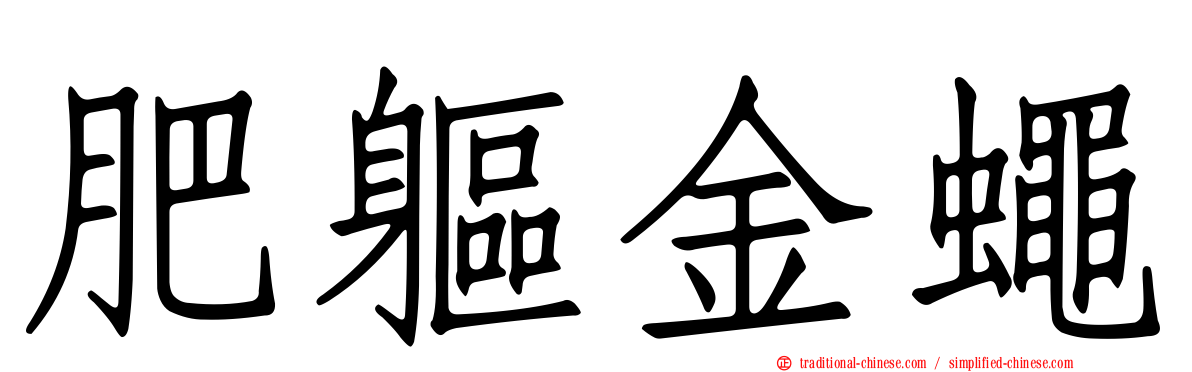 肥軀金蠅