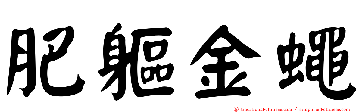 肥軀金蠅