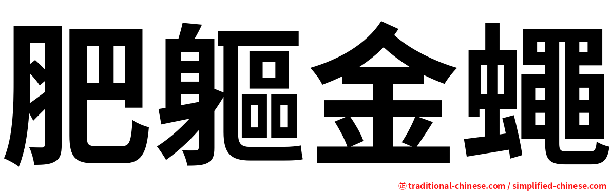 肥軀金蠅