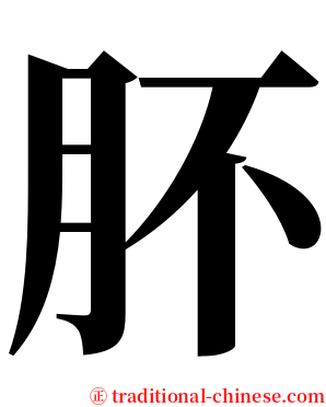 肧 serif font
