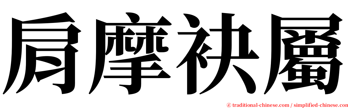 肩摩袂屬 serif font