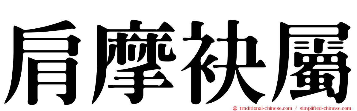 肩摩袂屬