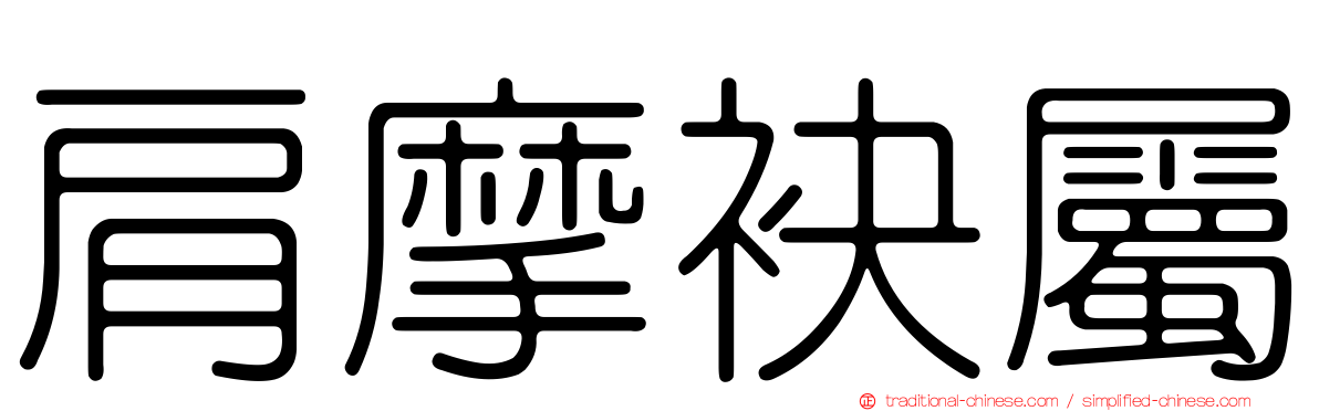 肩摩袂屬