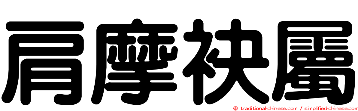 肩摩袂屬