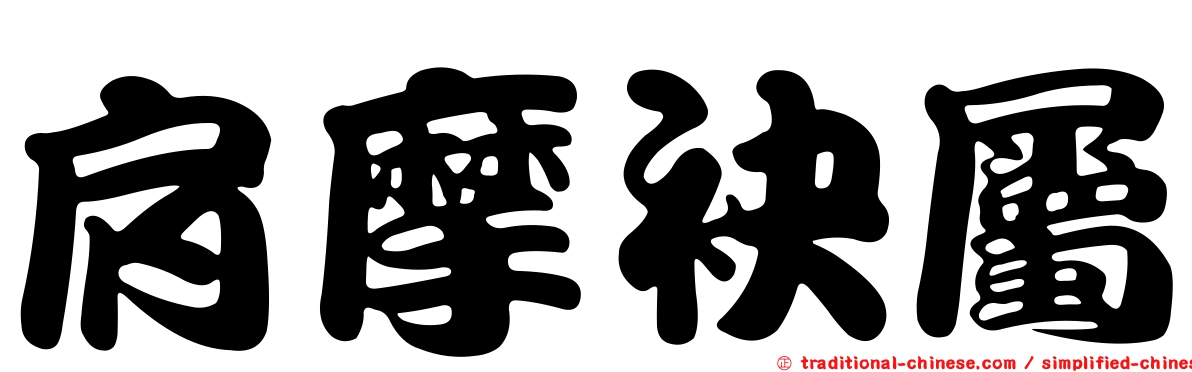 肩摩袂屬