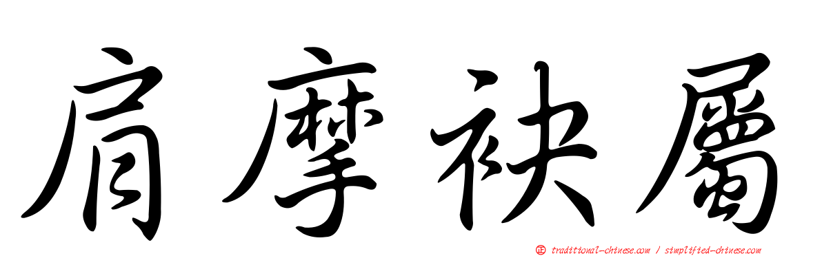 肩摩袂屬