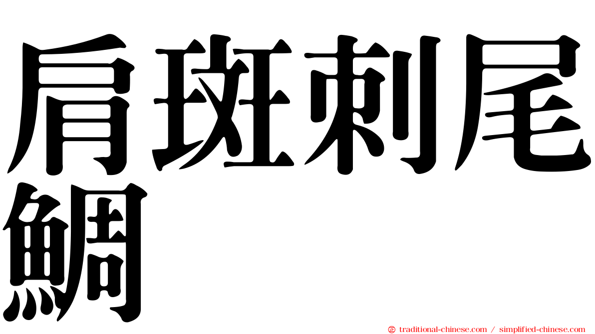 肩斑刺尾鯛