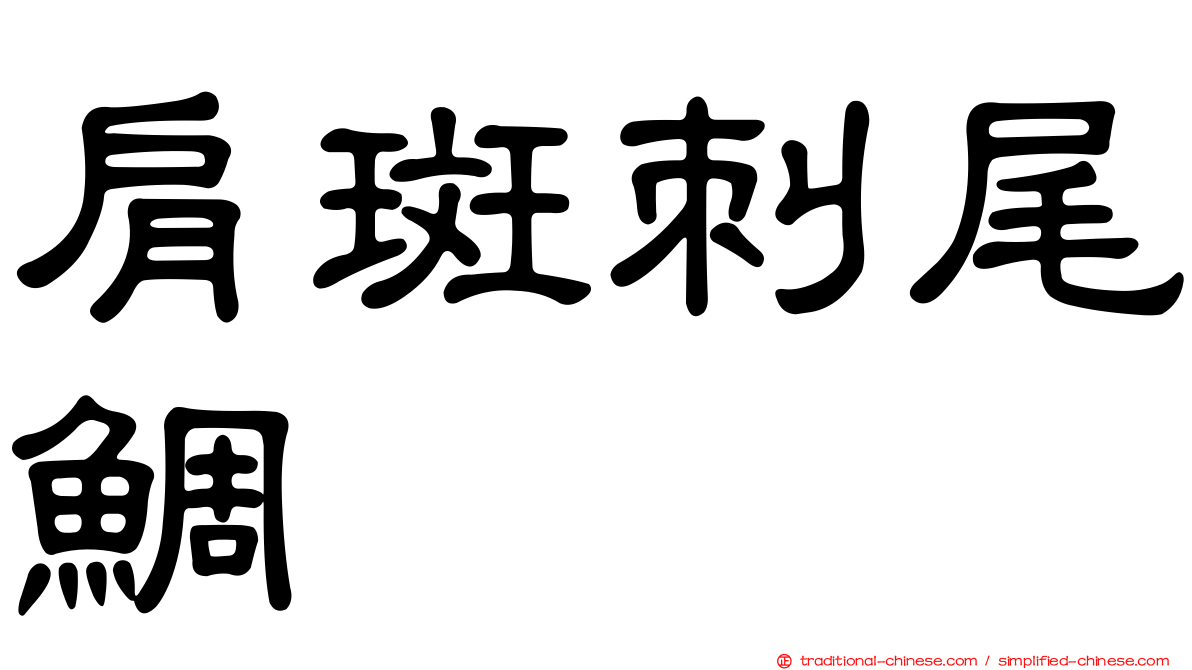 肩斑刺尾鯛