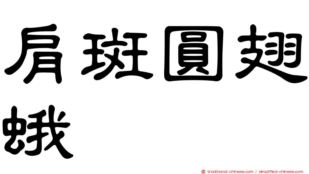 肩斑圓翅蛾