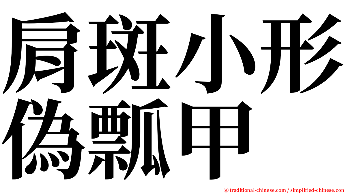 肩斑小形偽瓢甲 serif font