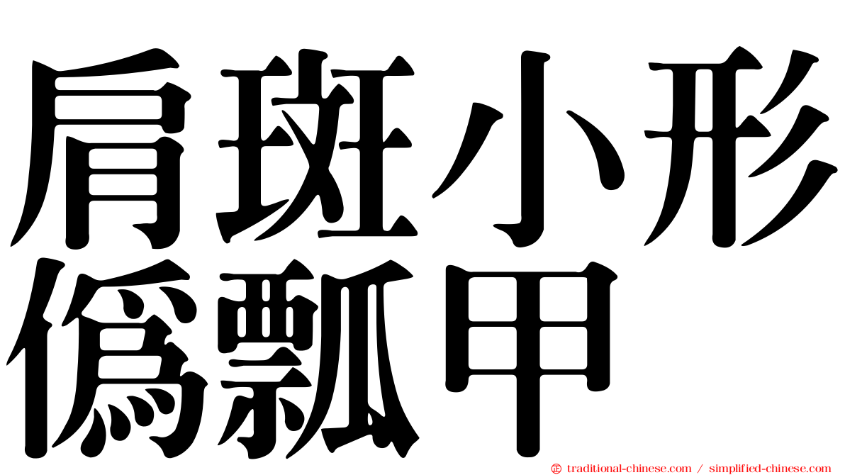 肩斑小形偽瓢甲
