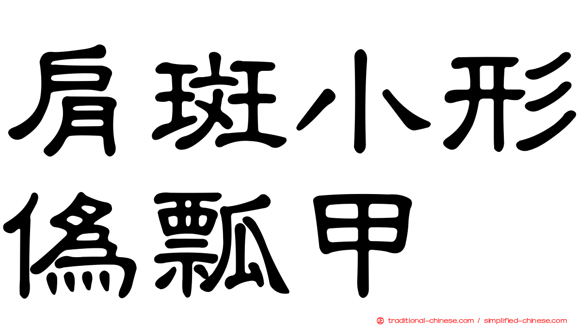 肩斑小形偽瓢甲
