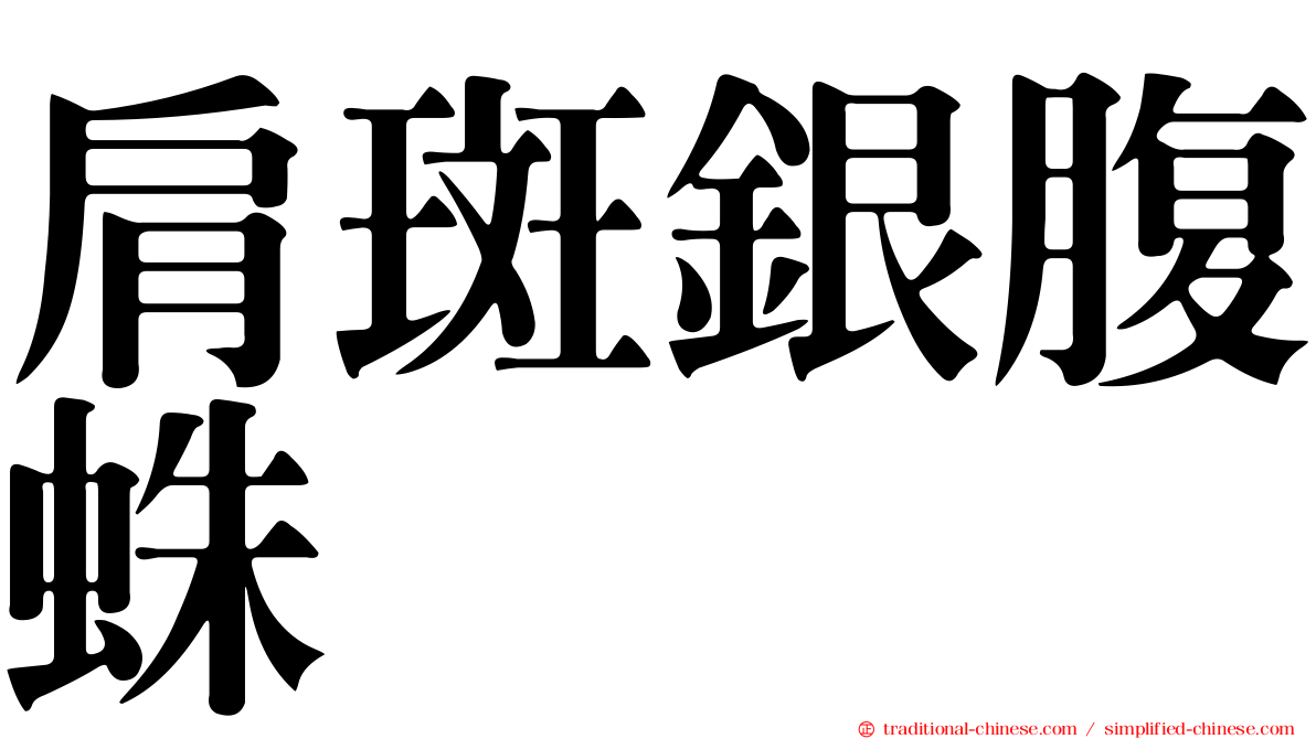 肩斑銀腹蛛