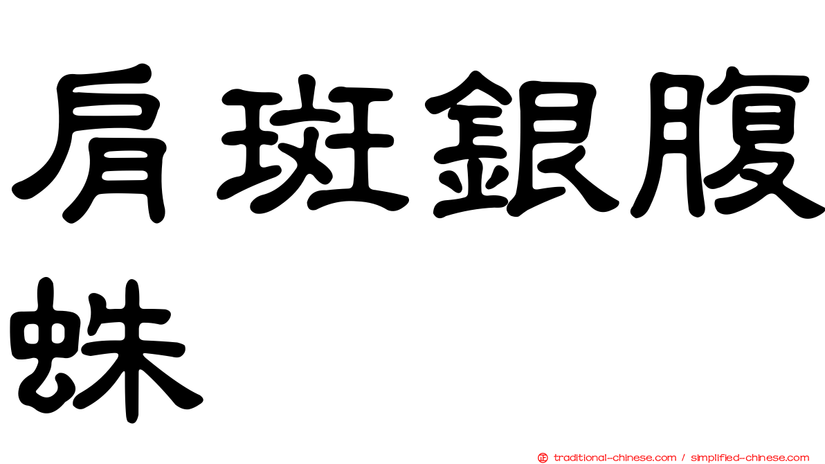 肩斑銀腹蛛