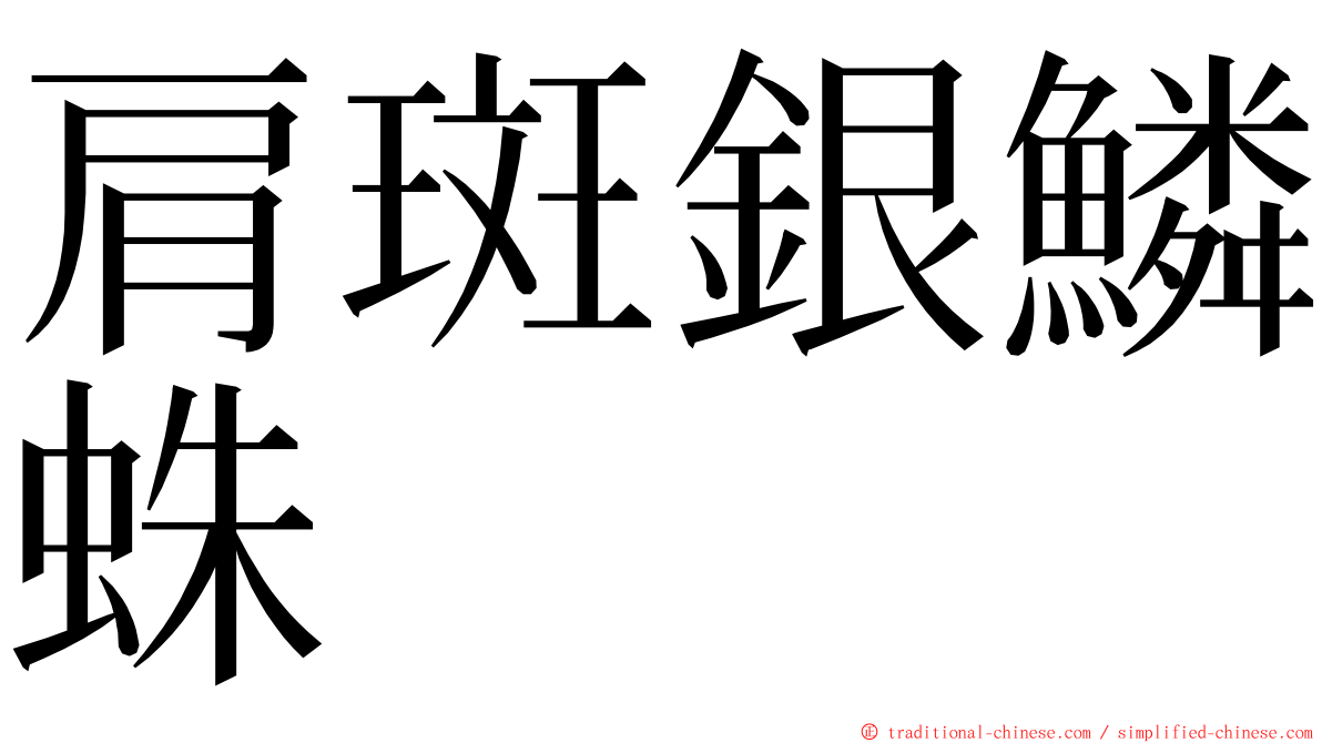 肩斑銀鱗蛛 ming font