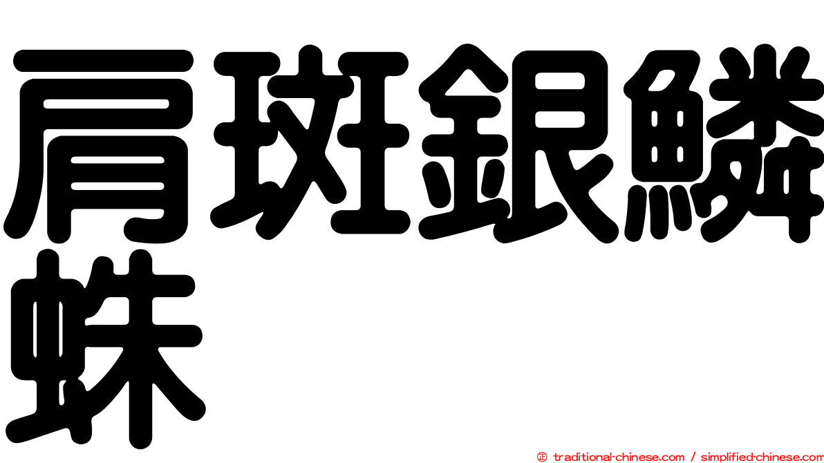 肩斑銀鱗蛛