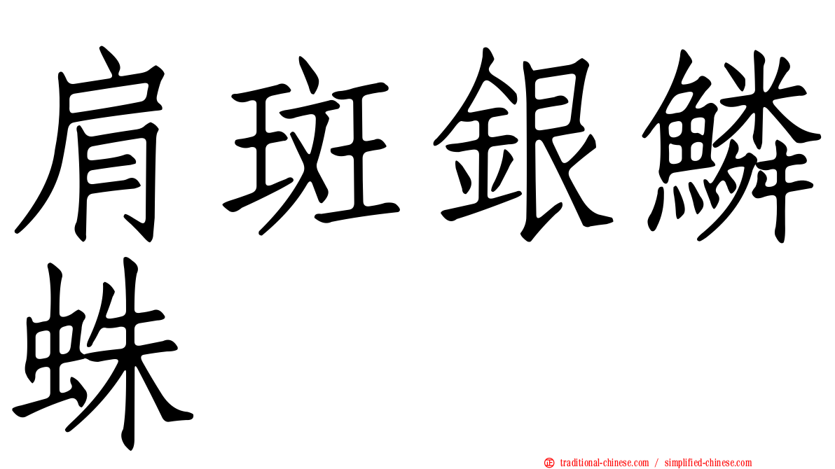 肩斑銀鱗蛛