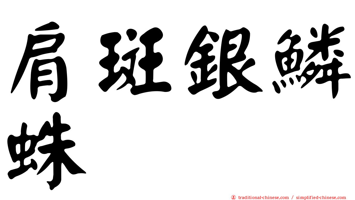 肩斑銀鱗蛛