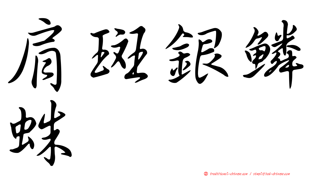 肩斑銀鱗蛛