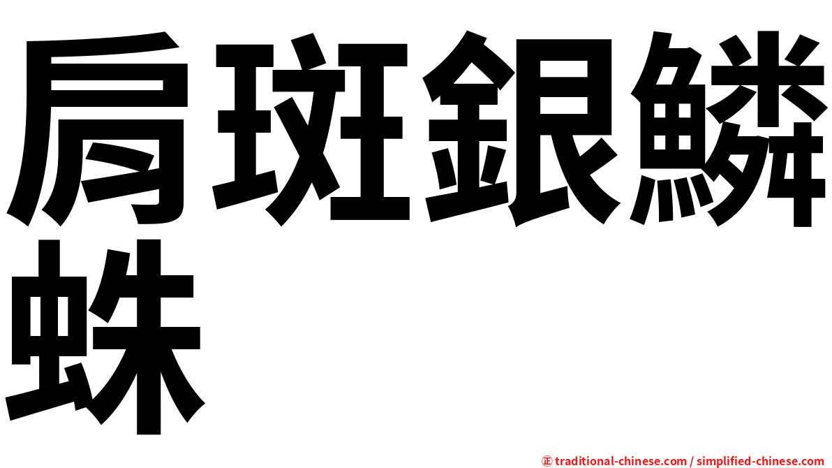 肩斑銀鱗蛛