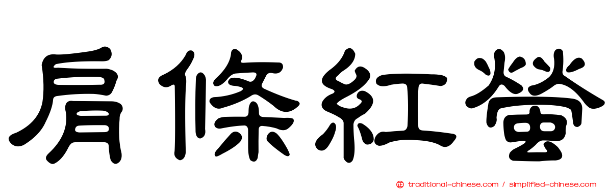 肩條紅螢