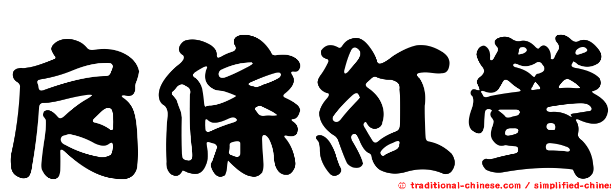肩條紅螢