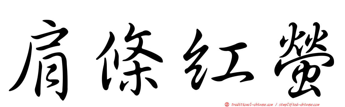 肩條紅螢