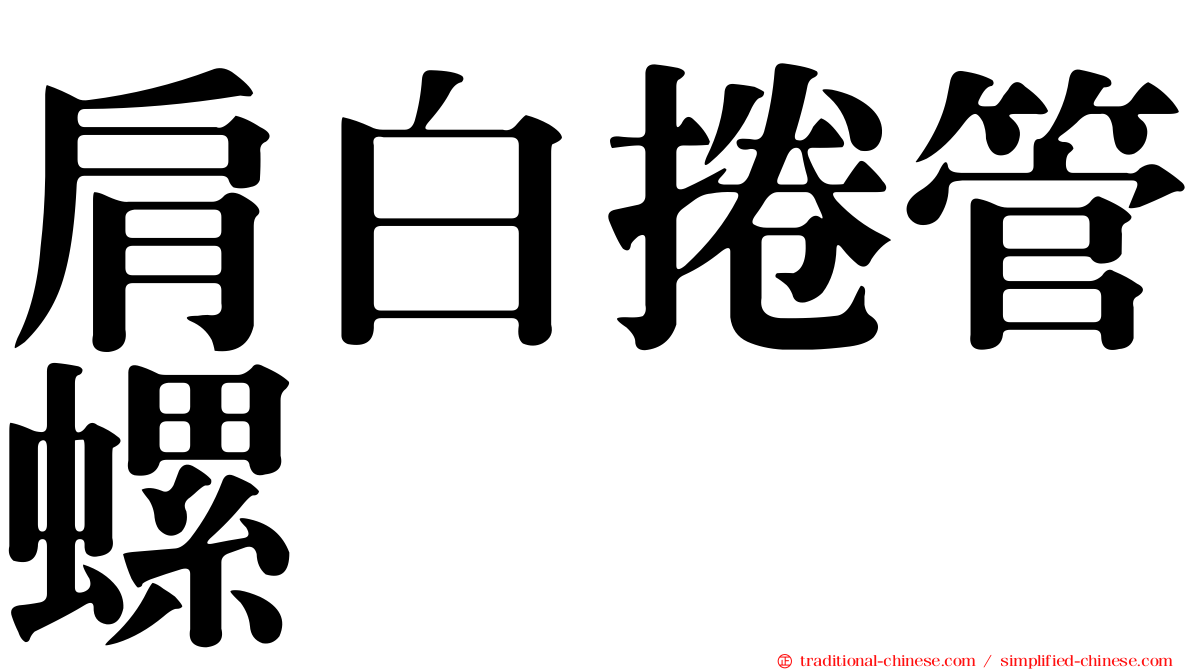 肩白捲管螺