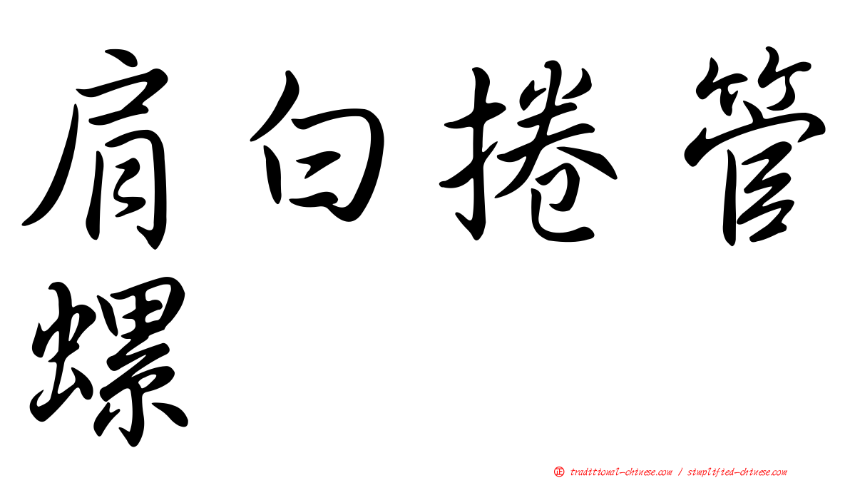 肩白捲管螺