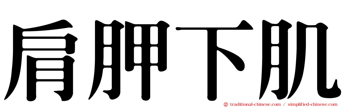 肩胛下肌