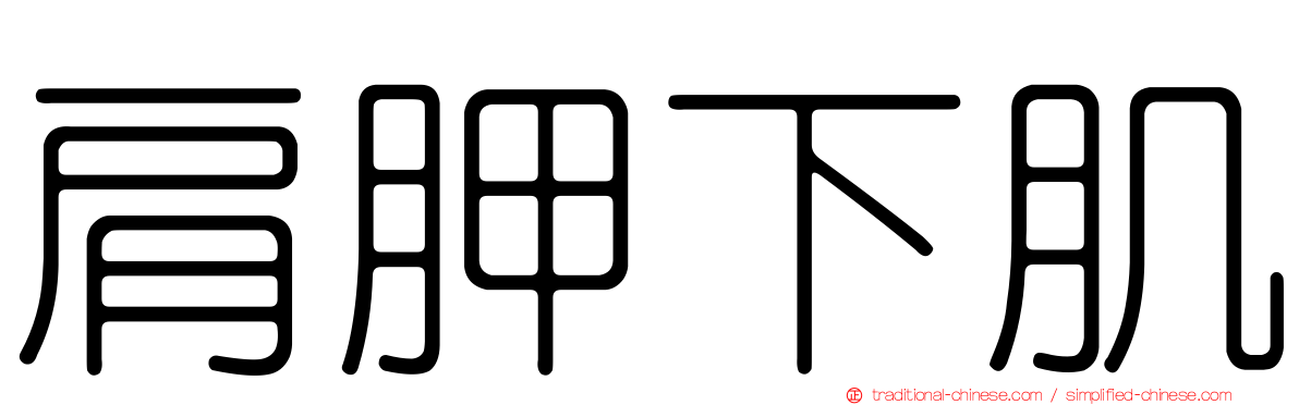 肩胛下肌