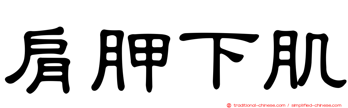 肩胛下肌