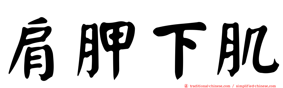 肩胛下肌