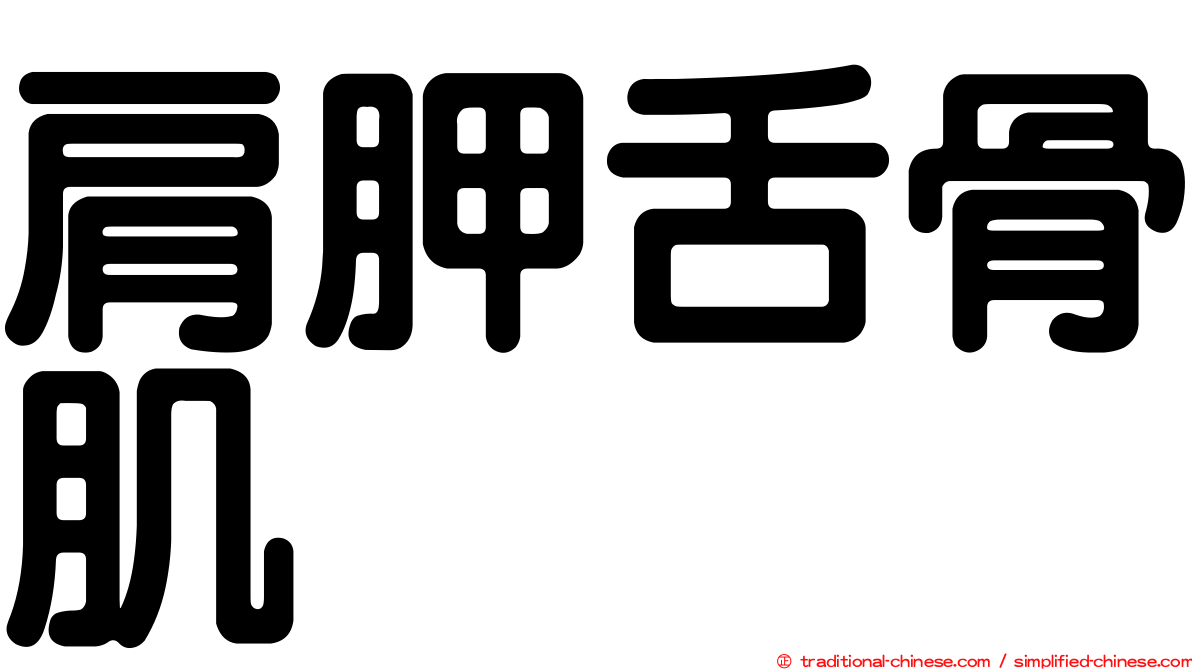 肩胛舌骨肌