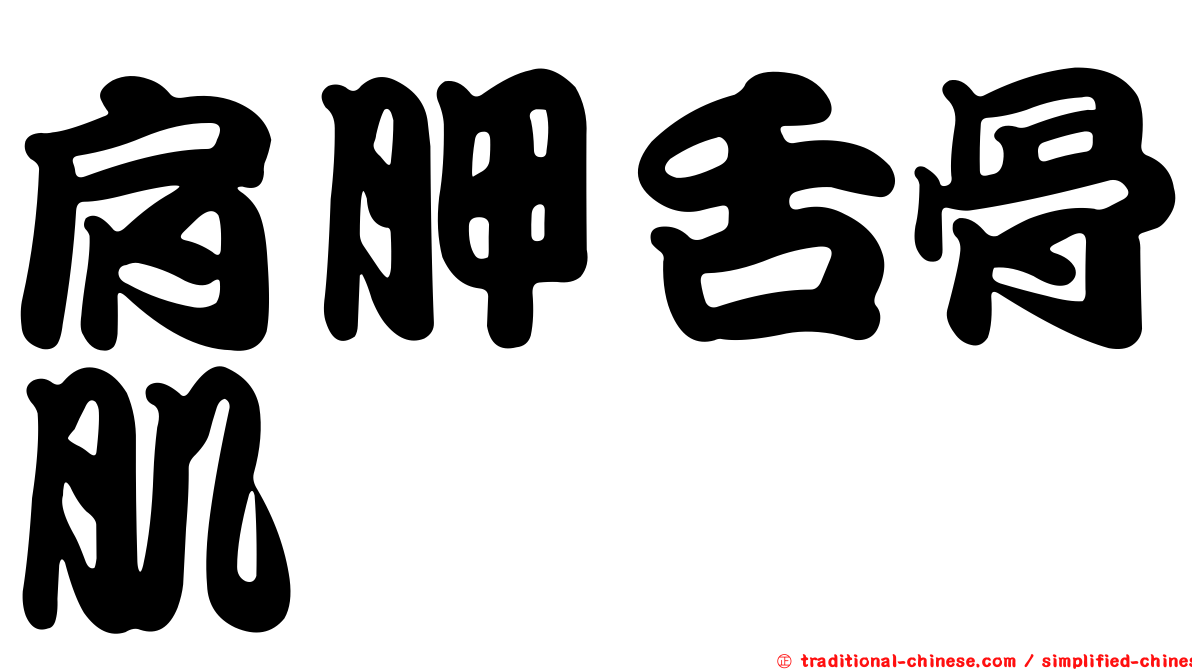 肩胛舌骨肌