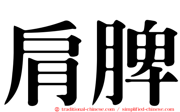 肩脾