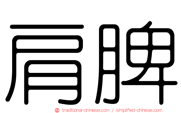 肩脾