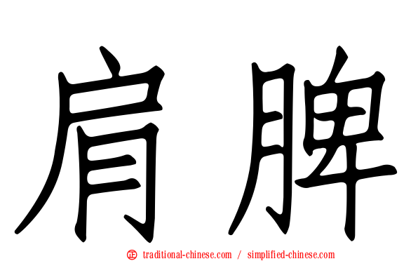 肩脾