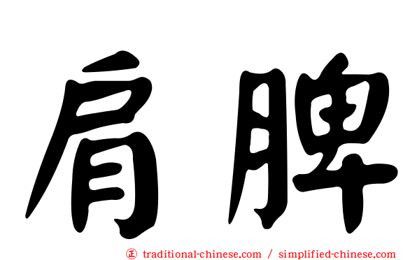 肩脾