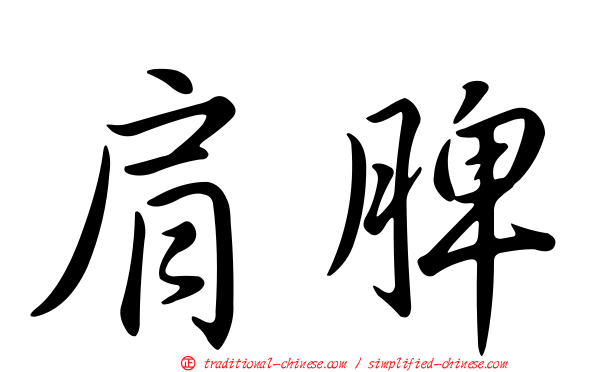肩脾
