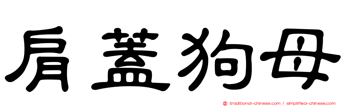 肩蓋狗母