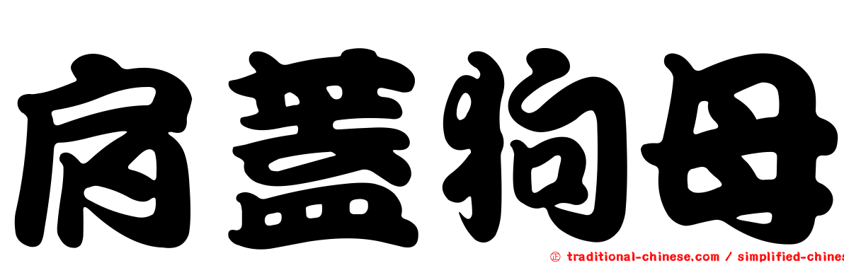 肩蓋狗母