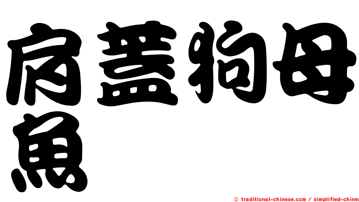 肩蓋狗母魚