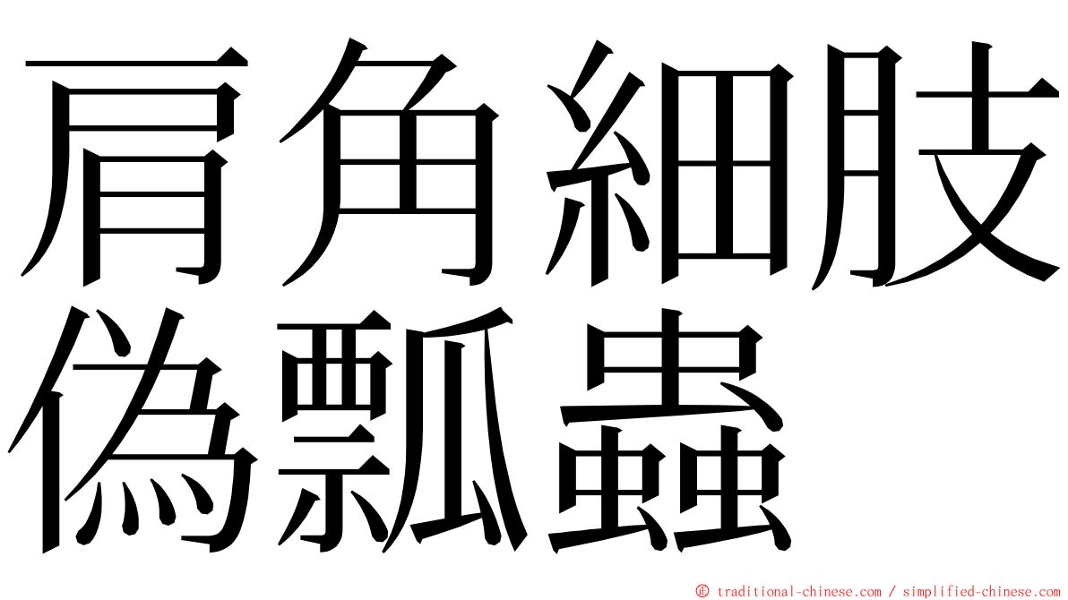 肩角細肢偽瓢蟲 ming font
