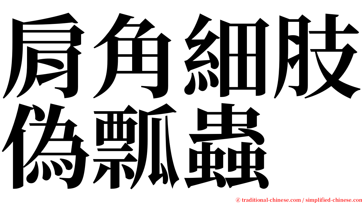 肩角細肢偽瓢蟲 serif font